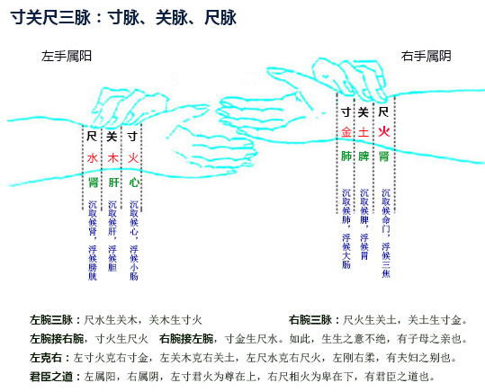 寸关尺.jpg